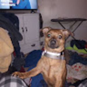 Meet your Posher, Ken